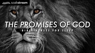 The Promises of God  Bible Verses For Sleep [upl. by Novyart]