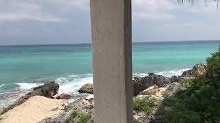 Ventana al Mar wild side Cozumel [upl. by Annoved]