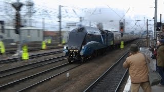 4464 Bittern in York and Doncaster 7th December 2013 [upl. by Aholah228]