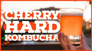 HARD KOMBUCHA How to Make Kombucha With Alcohol [upl. by Froemming]