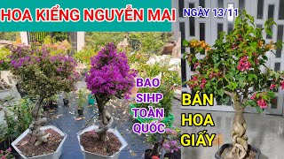 NGÀY 13 11BÁN NHIỀU LOẠI HOA GIẤY GHÉP NHIỀU MÀU☎️0708208961 GIÁ RẺ BAO SHIP TOÀN QUỐC [upl. by Nonnarb]