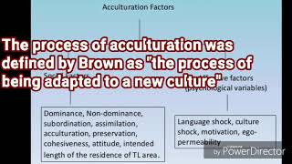 Acculturation Model HD [upl. by Enyawal]