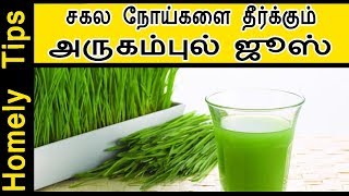 சகல நோய்களை தீர்க்கும்  அருகம்புல் ஜூஸ் arugampul juice recipe in tamil [upl. by Kass]