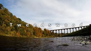 Salmon Fishing Tweedswood Beat on the River Tweed [upl. by Eelamme]