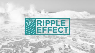 Ripple Effect Online  102024 [upl. by Norri]