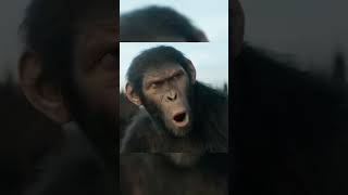 Kingdom of the Planet of the Apes l Chaos in the JungleA Girl vsan Army of Apes l Official Trailer [upl. by Joachim]