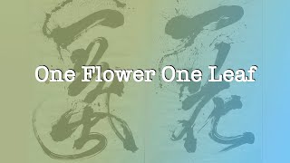 Sogetsu San Francisco Bay Area Branch presents One Flower One Leaf Arrangements [upl. by Otineb576]