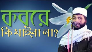 চিন্তা করে দেখো না কবরে কি যাইবা না  KABAR  হাফিজুর রহমান সিদ্দিকি  হক সাহেব গজল [upl. by Elberfeld]