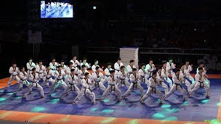 2018 제주 한마당 Jeju World Taekwondo Hanmadang，Opening Ceremony，Kukkiwon Demonstration Team 국기원，国技院 [upl. by Htennaj]