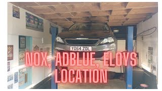 Peugeot 16 Bluehdi  hdi Adblue Nox DPF amp Eloys location guide [upl. by Kesley381]