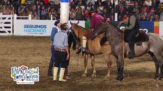 Jineteadas de caballos Festival de Doma y Folklore de Jesús María 2023 noche 7 [upl. by Aridni]