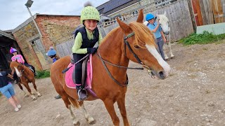 HORSE RIDING LESSONS WITH CHARLOTTE TROTTING CANTERING POLE WORK 2024 [upl. by Leunad913]