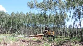 Feller Buncher 870C  Corte Área Expoforest 2018 [upl. by Shena465]