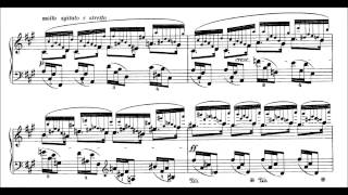 Chopin 24 Preludes Op28 Blechacz [upl. by Xed]