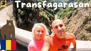 Excursie RoadTrip in Romania Transfagarasan plin de ursi  Wild safari with bears Romania Episode 2 [upl. by Pharaoh320]