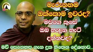 Thapowane Rathana Thero l Sith Neth Asapuwa bana l 2024 10 05 [upl. by Natiha]