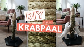 DIY KRABPAAL  Zo maak je zelf een krabpaal voor in een stylish interieur [upl. by Lleira449]