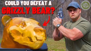 Could You Defeat A GRIZZLY BEAR [upl. by Nessa]