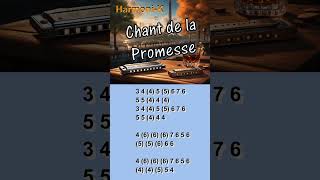 HARMONICA  CHANT DE LA PROMESSE harmonica music tablature partition tabshorts tabs scout [upl. by Inavoj]