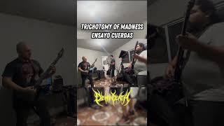 Trichotomy of Madness  Ensayo cuerdas metal rock musica music heavymetal [upl. by Namad]