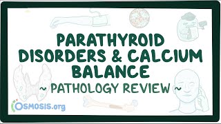 Parathyroid disorders and calcium balance Pathology Review [upl. by Moffit619]