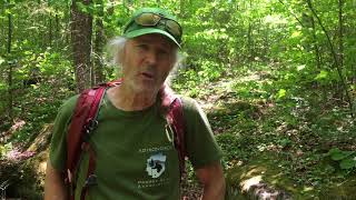 Ron Konowitz on Wright Peak Ski Trail Reroute [upl. by Ahsenrad410]