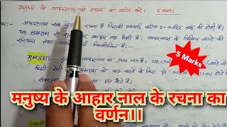 मनुष्य के आहार नाल के रचना का वर्णन करें पाचन तंत्रHuman digestive system in Hindi [upl. by Inattyrb]