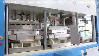 Pulp Molding Paper Topgrade Industrial Packaging Production Line [upl. by Ahrendt482]