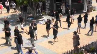 FlashMob Vatel Maurice [upl. by Esdras292]