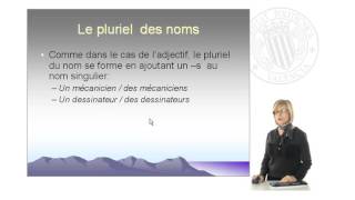 Le pluriel des adjectifs et des noms  2932  UPV [upl. by Osmund]