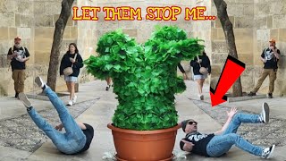 His fall was very funny ¡Let Them Stop Me 😂 Bushman Prank [upl. by Kilmarx530]