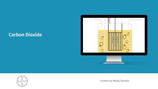 Bayer Bioreactor eLearning Course [upl. by Nylemaj]