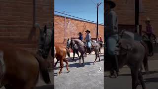 Cabalgata Feria regional 2024 [upl. by Dotson]