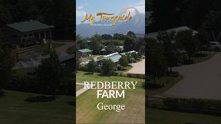 Redberry Farm redberry redberryfarm gardenroute tourism travel strawberry strawberries fun [upl. by Poore]