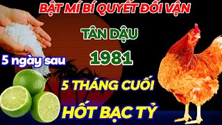 THẦY TỬ VI TIẾT LỘ BÍ QUYẾT ĐỔI VẬN TÂN DẬU 1981 ĐÚNG 5 THÁNG CUỐI NĂM TRỜI CHO LỘC LỚN HỐT BẠC TỶ [upl. by Yedsnil]