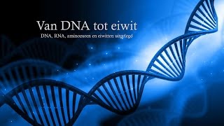 Van DNA tot eiwit havovwo [upl. by Moulden]