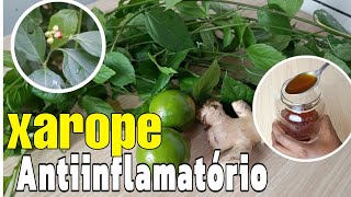 XAROPE antiinflamatório antibiótico natural inflamaçãodor de garganta dores reumaticas [upl. by Teece]