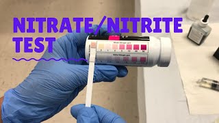 NitrateNitrite Test [upl. by Erasme532]