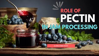 Role of Pectin in Jam Production [upl. by Sinne]