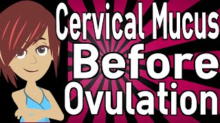 Cervical Mucus Before Ovulation [upl. by Aryamoy]