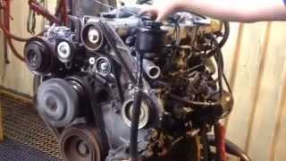 Japanese Imported Engines  Toyota 1HDT Engine Running  Rolin Automotive [upl. by Anotyad248]