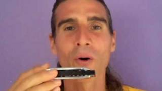 Hohner Bluesband Harmonica Review by JP Allen [upl. by Rothwell]