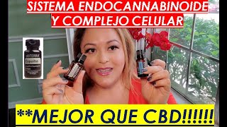 DoTerra COPAIBA y DDR PRIME mejor que CBD para el sistema Endocannabinoide [upl. by Cecil389]