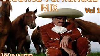 VICENTE FERNANDEZ MIX PURO DESPECHO [upl. by Leiand664]