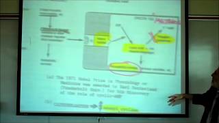 SYNAPTIC TRANSMISSION IN THE CNS PART 2 by Professor Fink [upl. by Eneroc928]