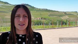 Interview with Federica Boffa of Fratelli Borgogno winery in Barolo [upl. by Gersham]