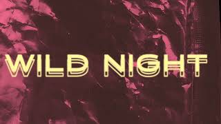 Michael Calfan Feat Hannah Boleyn  Wild Night Official Lyric video [upl. by Norvell745]