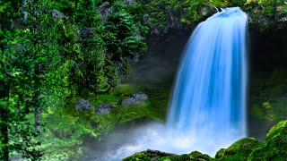 Epic Waterfall White Noise  Sound of a Waterfall For Sleep Relaxation or Focus [upl. by Ellivnarg500]