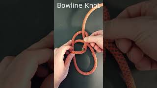 Bowline knot [upl. by Nosila]