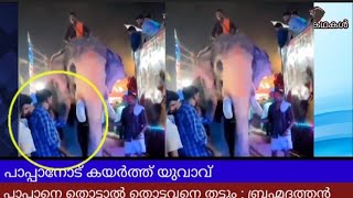 പാപ്പാനോട് കയർത്ത് നാട്ടുകാരൻ പാപ്പാനെ തൊട്ടാൽ തൊട്ടവനെ തട്ടും ബ്രഹ്മദത്തൻ  Pallattu brahmadathan [upl. by Shirah]